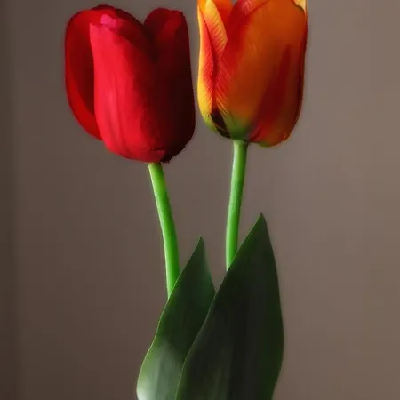 La Bussola Oda ve Kahvaltı Trapani